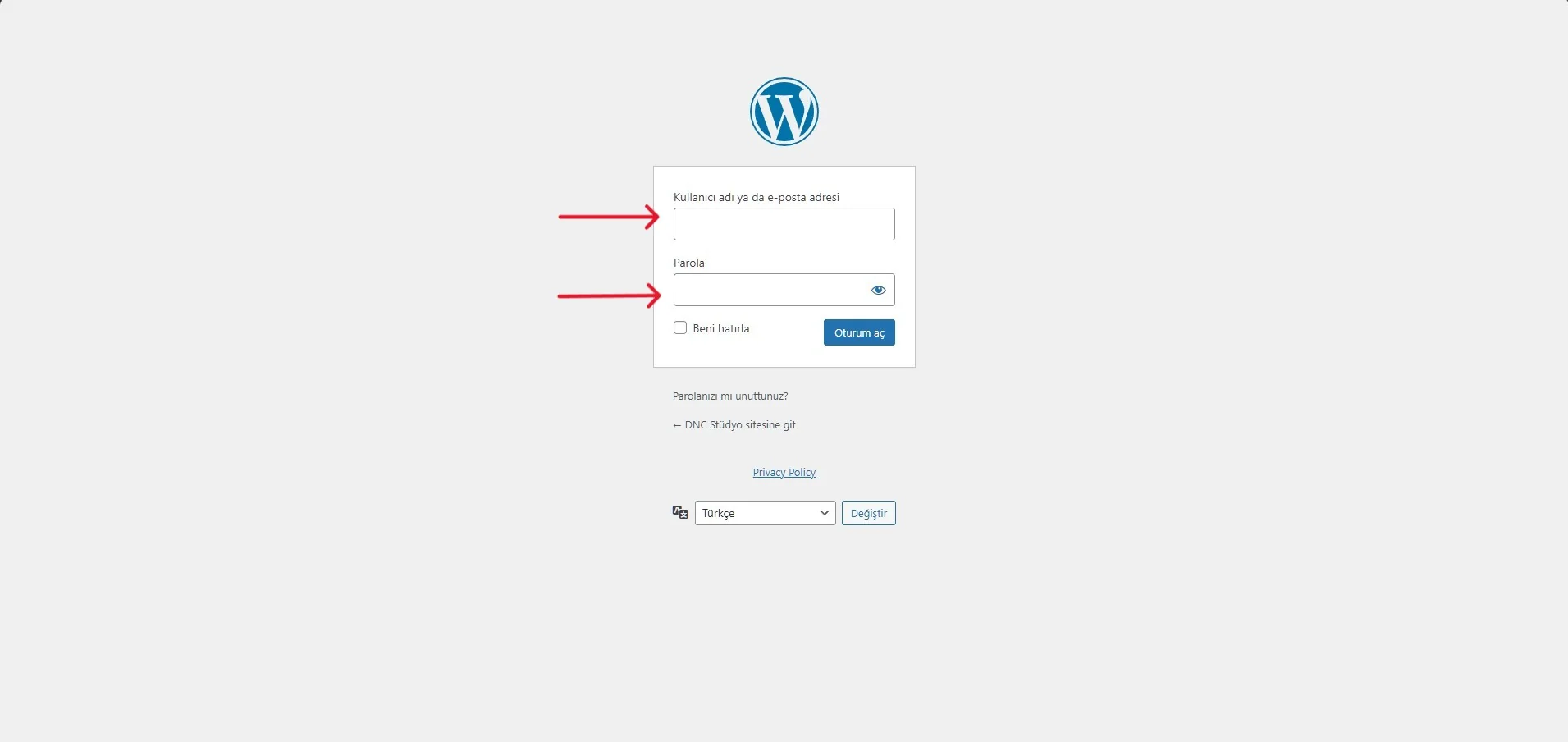 WordPress Admin Paneli